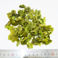 Selada hijau akar roud flakes sayur -sayuran kering